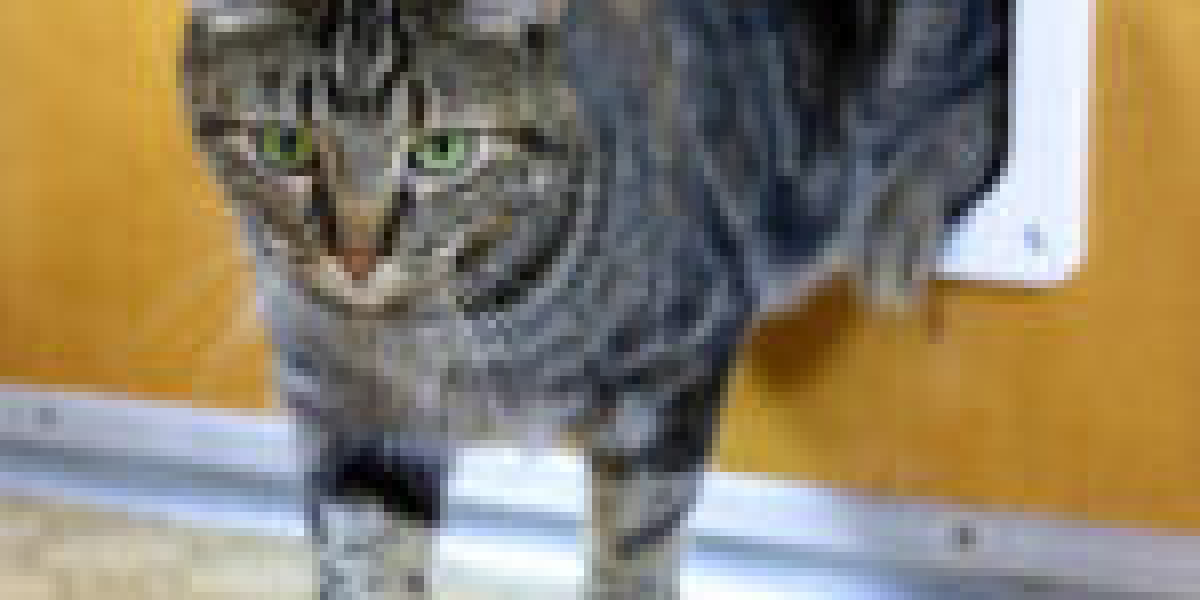 15 Unexpected Facts About Cat In Wall Door Fitting That You Never Knew