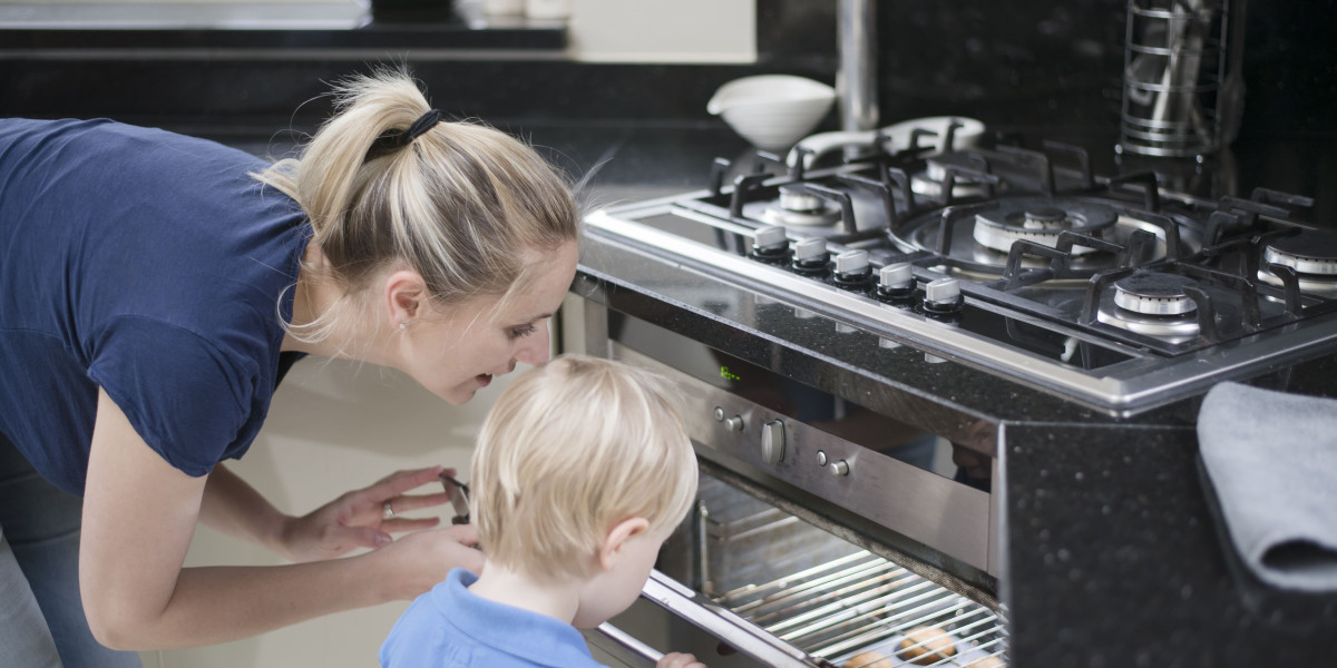 The Most Negative Advice We've Ever Received On Built-In Range Oven
