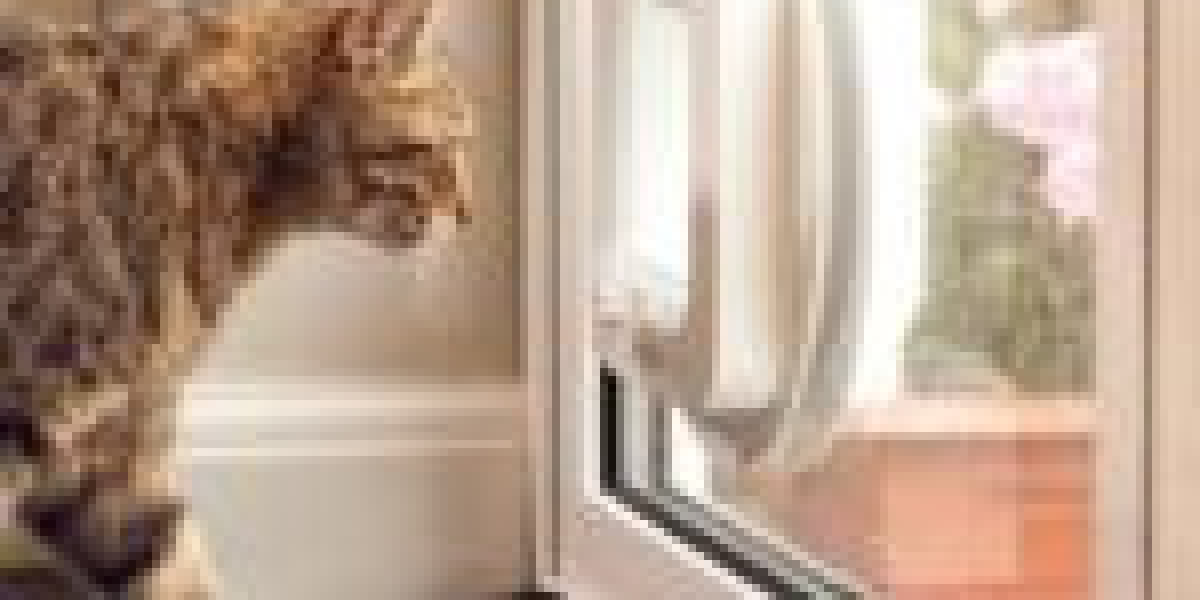 11 Creative Methods To Write About Cat Access Door Installer