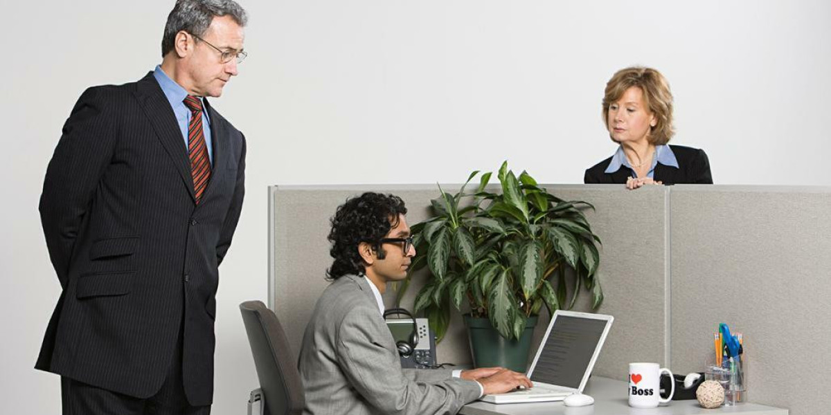 Top Reasons to Use a Professional Dissertation Writing Service in Australia